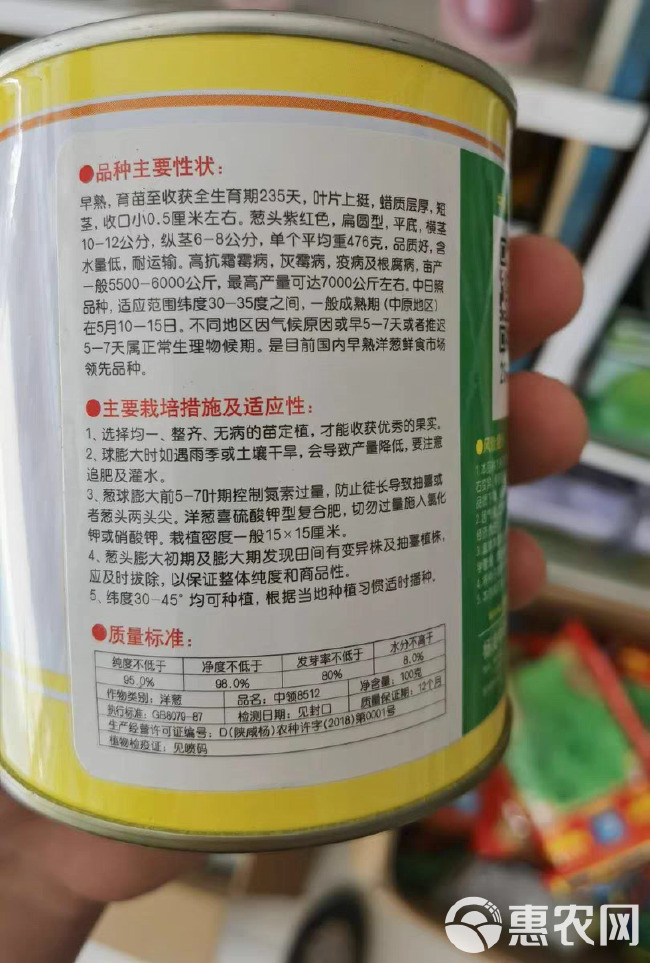 中领8512洋葱种子 早熟 紫皮扁圆型 抗病 耐运输