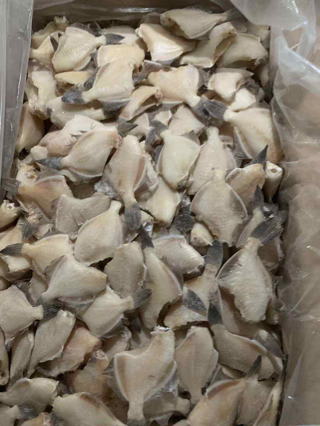 北海馬面魚蠔兒魚剝皮魚扒皮魚酒店商超市場批發(fā)