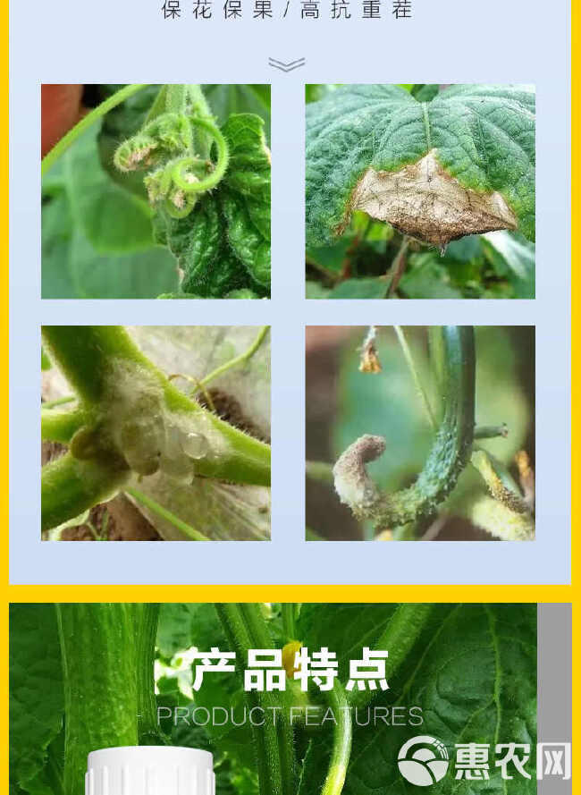 黄瓜顶花嫩直长苦瓜丝瓜顶花增瓜花打顶生根壮苗保花保果叶面肥料