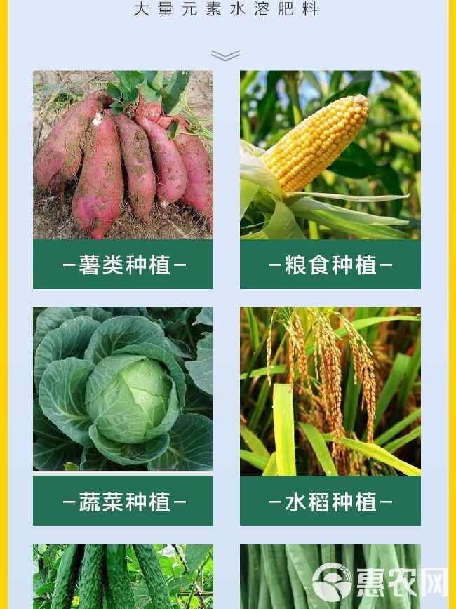 聚合丰产素生根壮苗保花保果膨大增产大量元素水溶叶面肥料