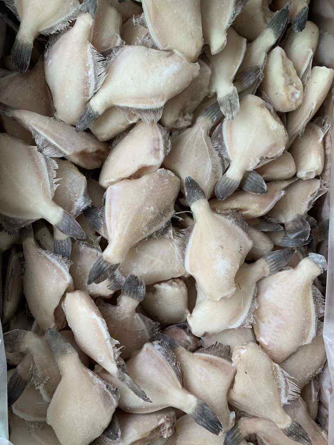 北海馬面魚蠔兒魚剝皮魚扒皮魚酒店商超市場批發(fā)