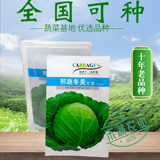 武汉圆球甘蓝种子甜脆秋季种植越冬甘蓝种籽抗病高产清甜可口优质品种