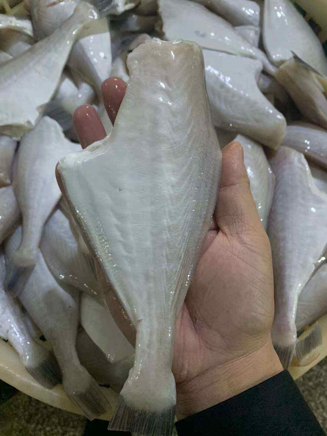 北海馬面魚蠔兒魚剝皮魚扒皮魚酒店商超市場批發(fā)