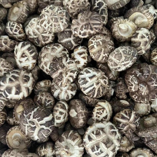 略阳县陕西略阳特级花菇特厚精品花菇冬菇
