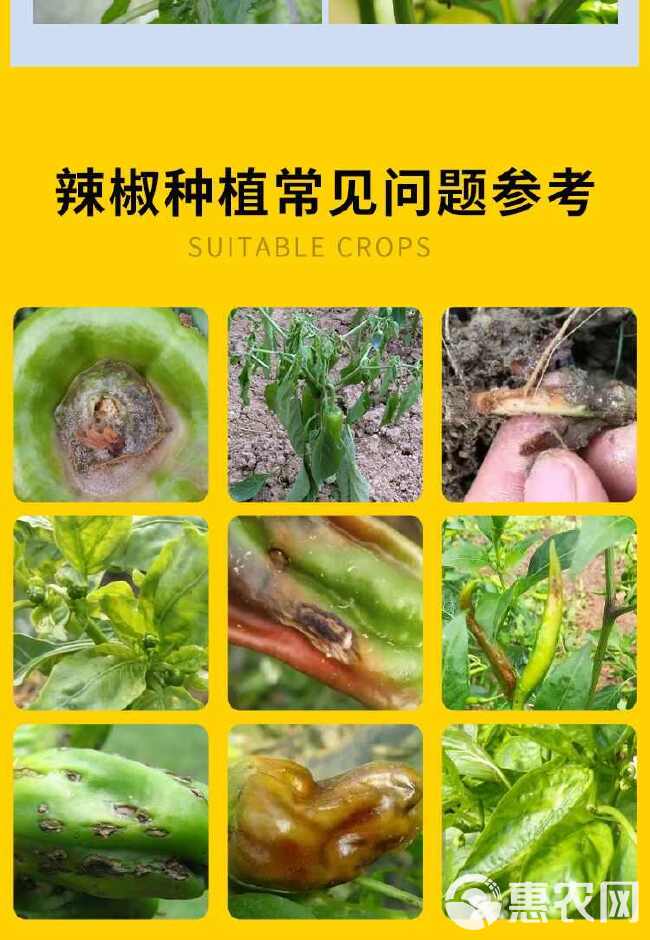 辣椒疫病清复合微生物菌剂辣椒番茄黄瓜豆类专用叶面肥肥料