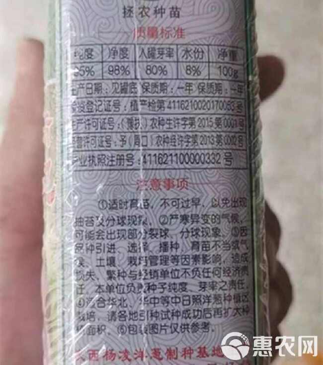 红满地洋葱种子 中早熟 紫红半高桩 抗病耐抽苔 耐贮运