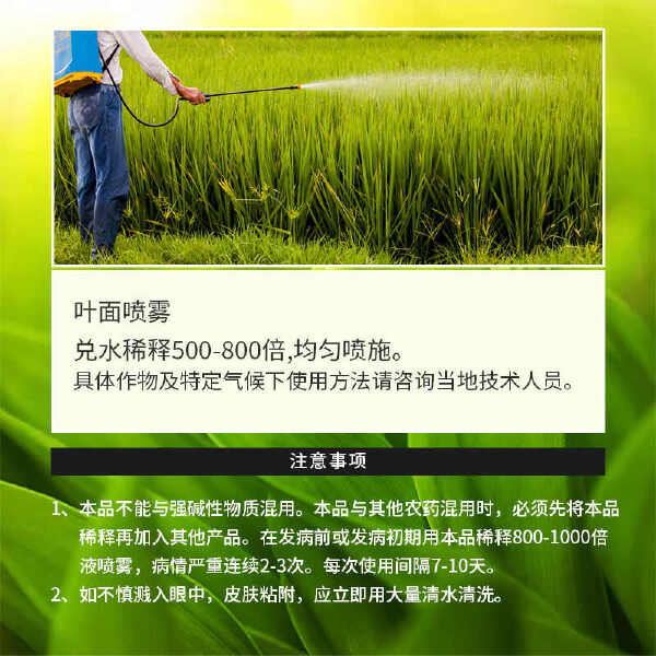 辣椒疫病清复合微生物菌剂辣椒番茄黄瓜豆类专用叶面肥肥料