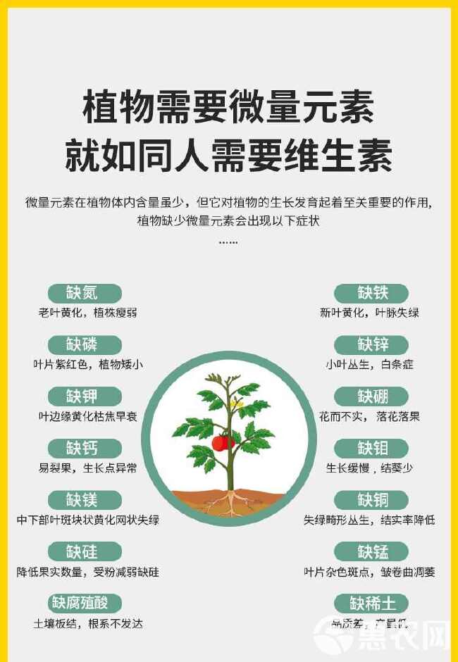 辣椒疫病清复合微生物菌剂辣椒番茄黄瓜豆类专用叶面肥肥料