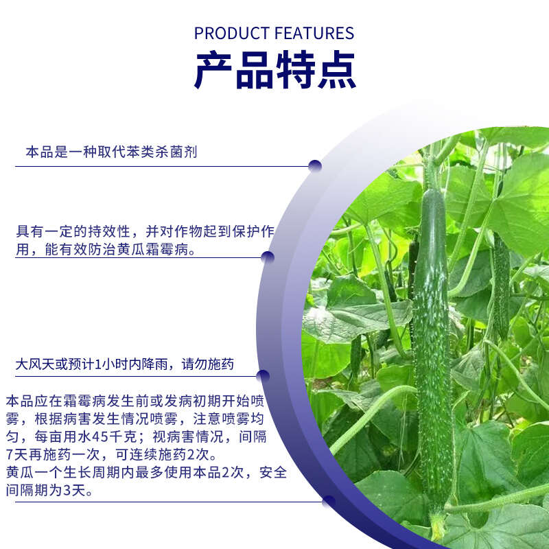 先正达集团翼选72%百菌清黄瓜霜霉病农药杀菌剂农用悬浮剂
