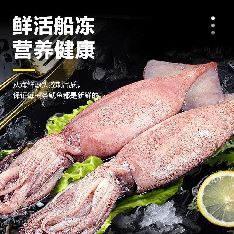 北海鱿鱼高品质整只大鱿鱼精选品质