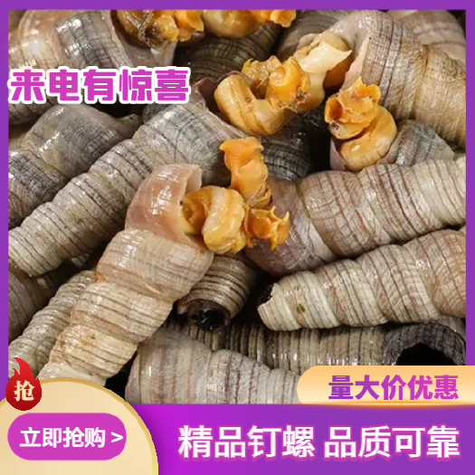 北海北海钉螺带尾去尾各种规格都有无沙处理全国可发