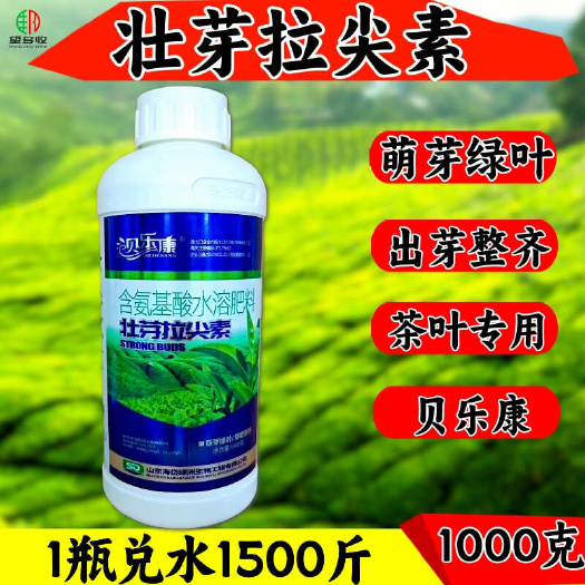潍坊茶叶专用叶面肥 壮芽拉尖素芽多芽尖促长增产