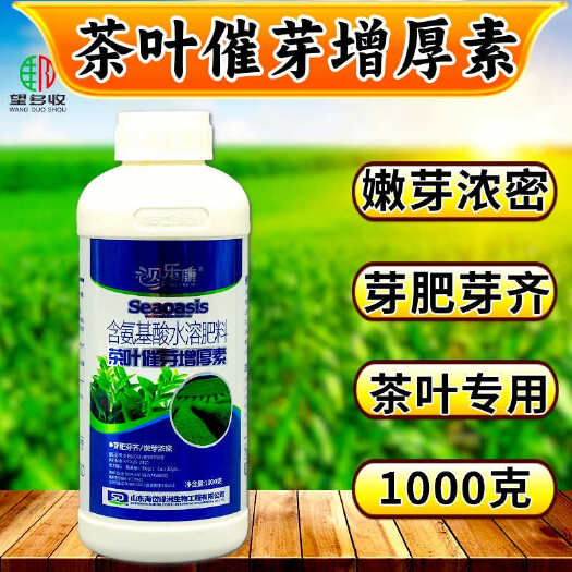 潍坊茶叶专用叶面肥  茶叶增产芽多催芽增厚素茶叶壮芽拉尖素叶面肥
