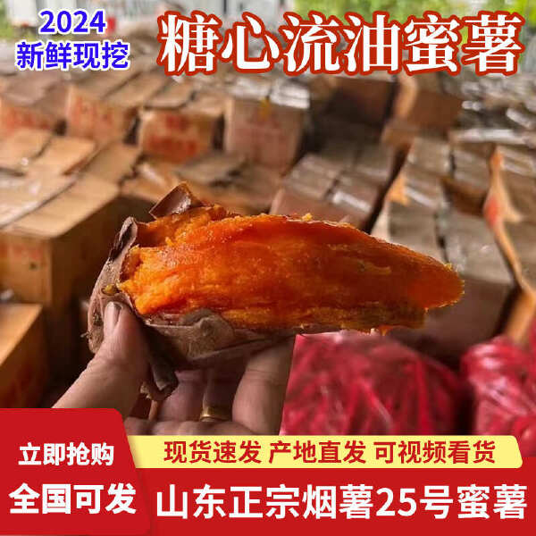 山东烟薯25号糖心蜜薯红薯红心流油地瓜沙地番薯产地批发