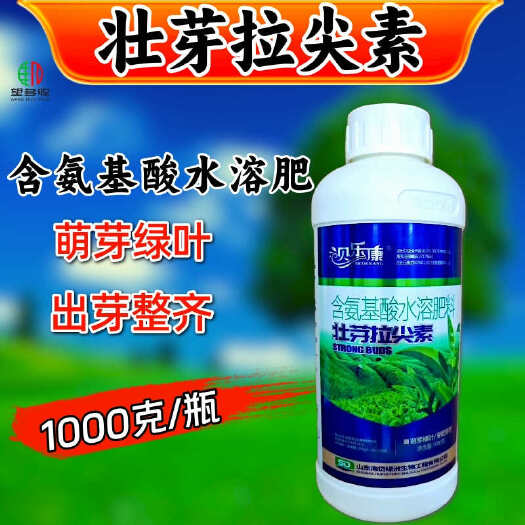 潍坊茶叶叶面肥  茶叶催芽增厚素 壮芽拉尖素 茶叶专用叶面肥