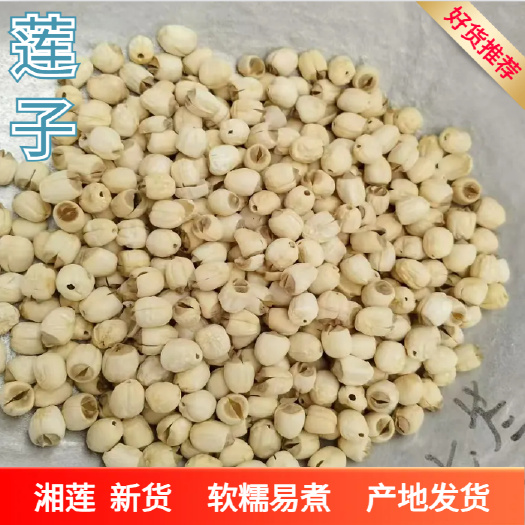 莲子，湘莲，去芯湘莲，大粒，小粒，各种规格的货都有