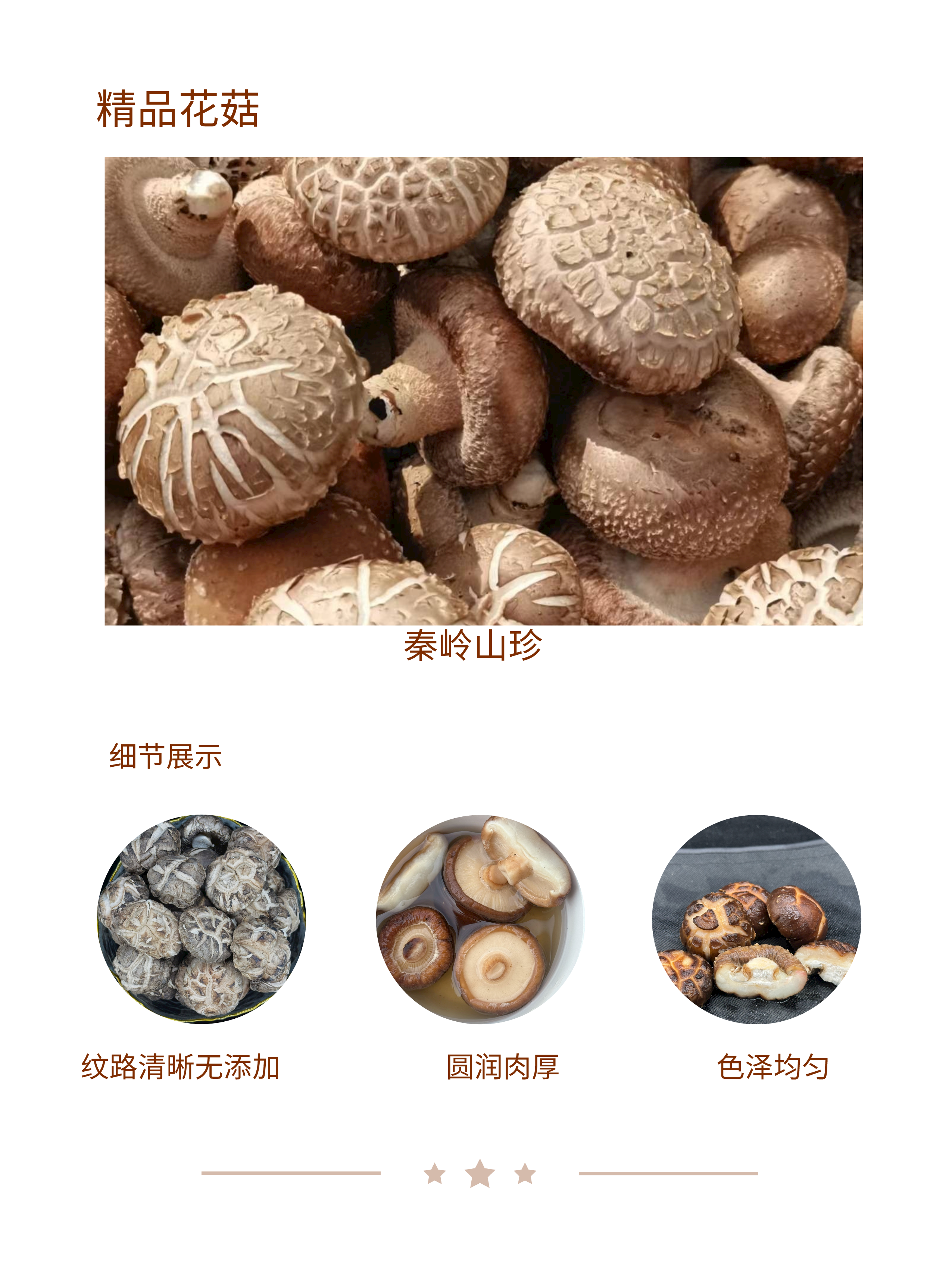 陜西略陽特級花菇特厚精品花菇冬菇