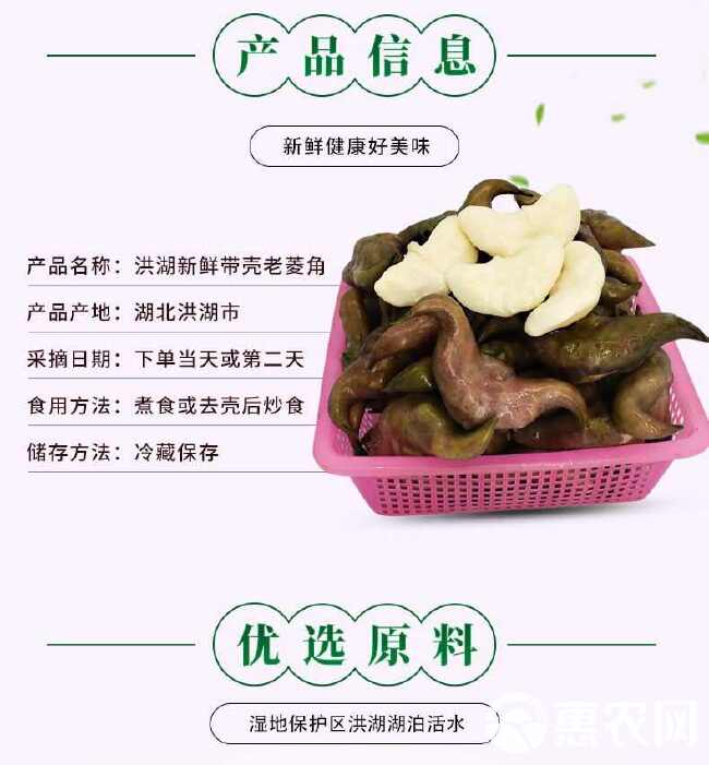 洪湖新鲜老菱角，青菱角 嫩菱角 产地直供，可物流可快递可整车