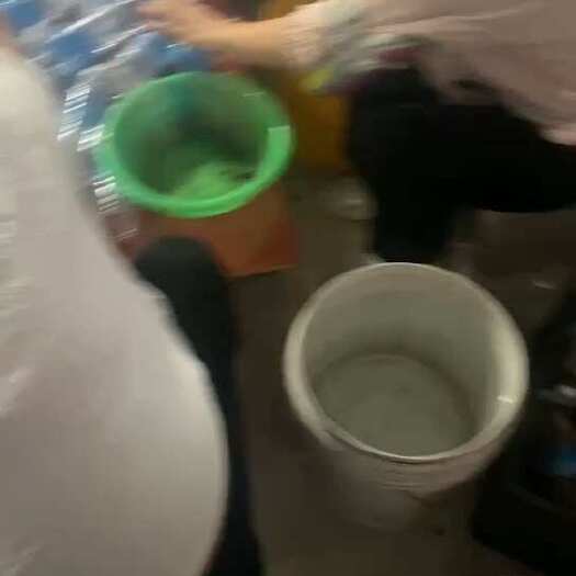 灵宝市大量松蝉到货价格美丽货量充足需要囤货的老板抓紧下单了定金为准