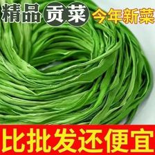 亳州贡菜小颗粒。欢迎加工厂订购。量大优惠。产地直销。一手货源。