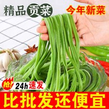 宾川县2024新货特级贡菜整根贡菜干苔干基地直发独立包装批发价