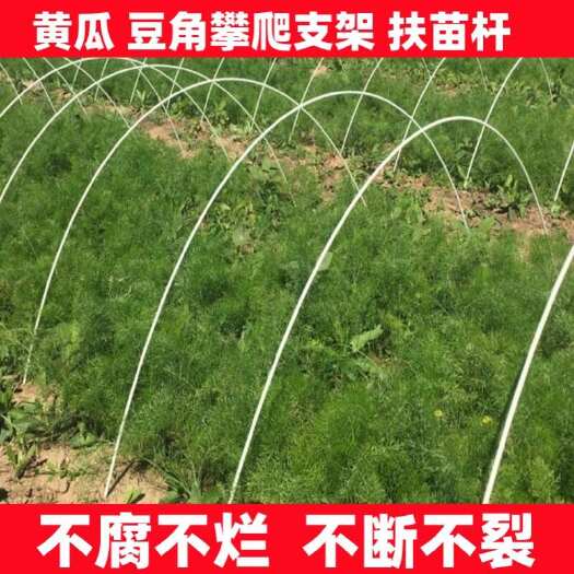 泗阳县新型农用大棚骨架小拱棚支架蔬菜园艺支架杆实心玻璃纤维杆