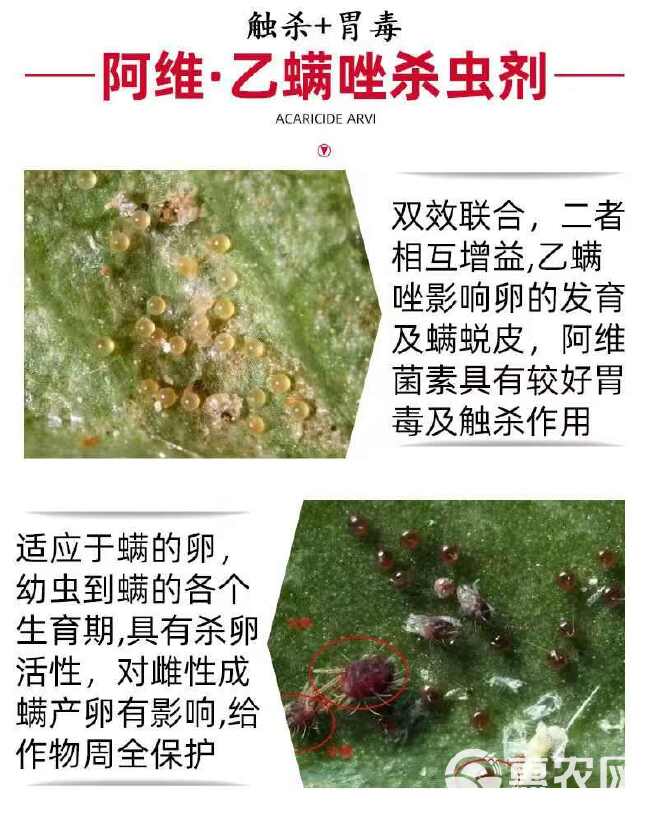 23%阿维乙螨唑红蜘蛛螨虫杀螨剂蔬菜柑橘果树通用