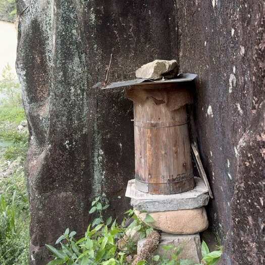 遂昌县采用原始蜂桶大山里天然野生蜂蜜