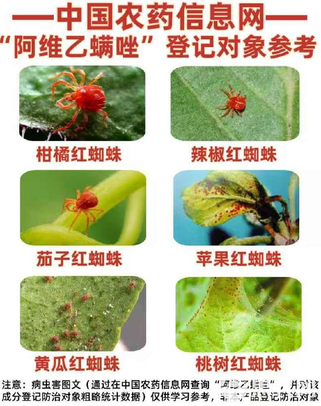 23%阿维乙螨唑红蜘蛛螨虫杀螨剂蔬菜柑橘果树通用