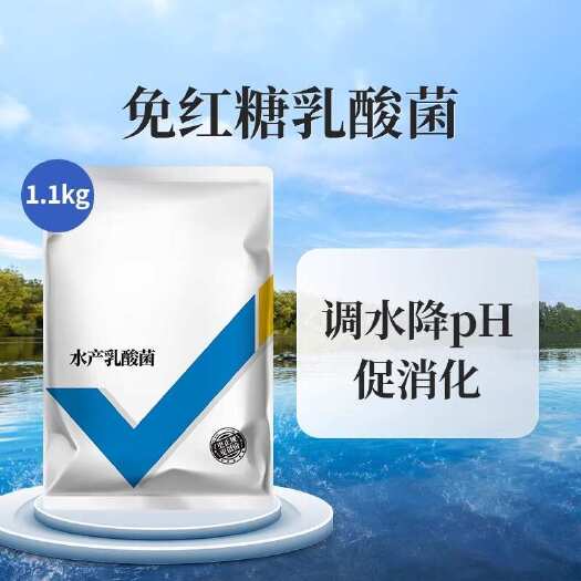 长沙乳酸菌水产养殖鱼虾蟹塘净水稳水降解素抑制弧菌降氨氮亚盐EM