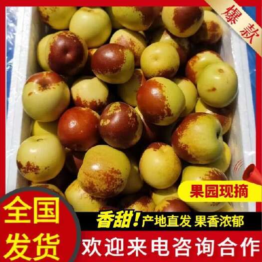 滨州冬枣一件代发，有货源供应链对接电商