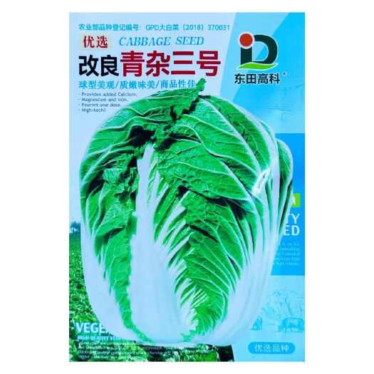 改良青杂三号大白菜种子生长周期85天约十斤高产抗病大白菜种籽