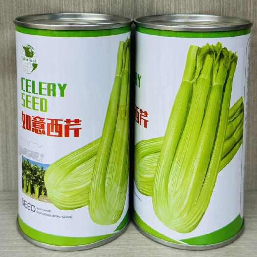 长沙芹菜种子早熟皇后西芹种籽如意西芹高产抗病生长快四季蔬菜种