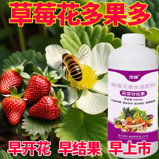 栾川县草莓专用促花芽分化催芽剂催花细胞分裂素摧花促花坐果素打破休眠