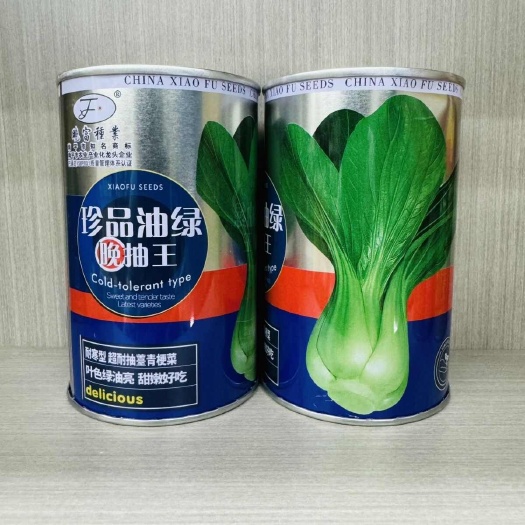 沭阳县珍品油绿晚抽王杂交种耐寒叶柄绿色肥厚生长旺束腰好抗病口感脆嫩