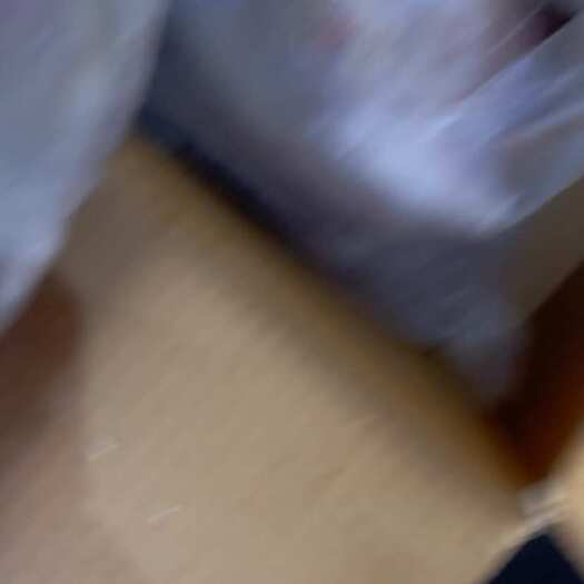 福州马面鱼 大迪