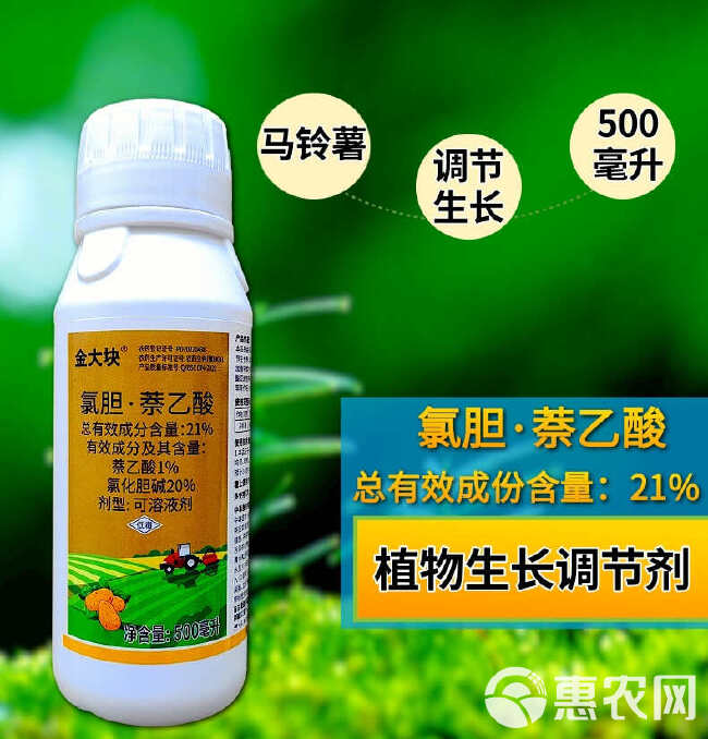 21%氯胆萘乙酸地下块茎膨大剂提高光合作用马铃薯红薯花生大蒜