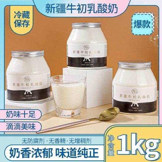 新疆直发~昌吉优乐牛初乳酸奶低温酸牛奶1公斤装