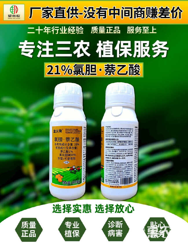 21%氯胆萘乙酸地下块茎膨大剂提高光合作用马铃薯红薯花生大蒜