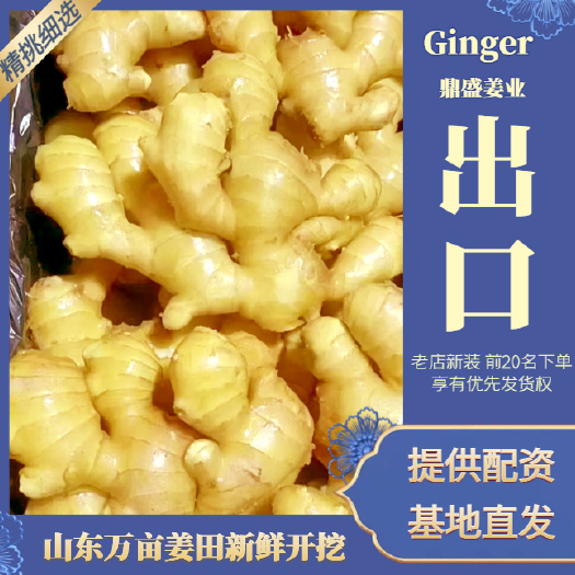 沂水县生姜大黄姜，水洗大黄姜，风干姜，规格齐全，出口定制，对接市场