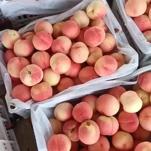 沂源县价格便宜