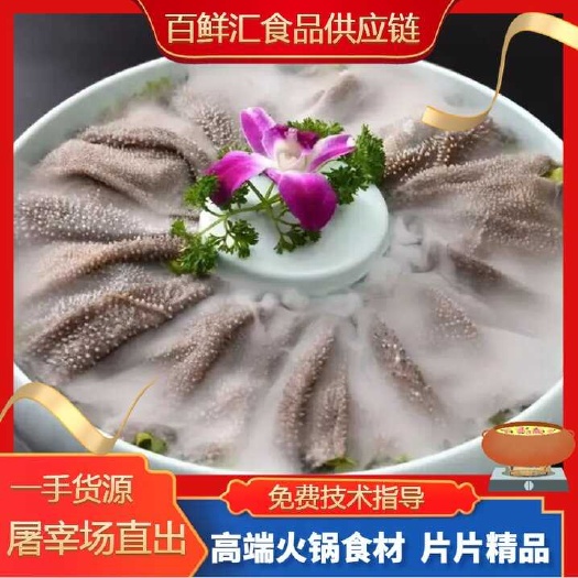 鲜毛肚叶片(牛百叶) 一手货源 
 厂家直销免费技术指导