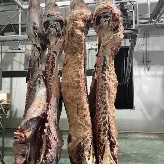 西门塔尔牛肉二分体,源头直销,规格齐全