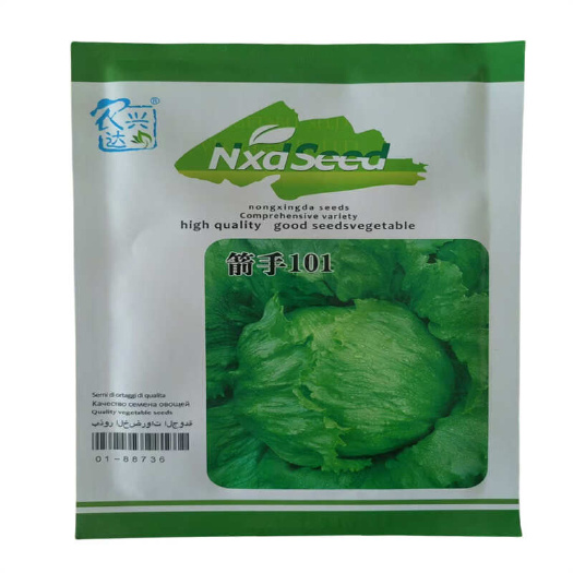 济南结球生菜种子箭手101生菜种子中早熟包心菜种子常球形结球种籽