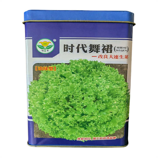 时代舞裙大速生菜种子早熟浓绿型改良大速生菜种子基地用种