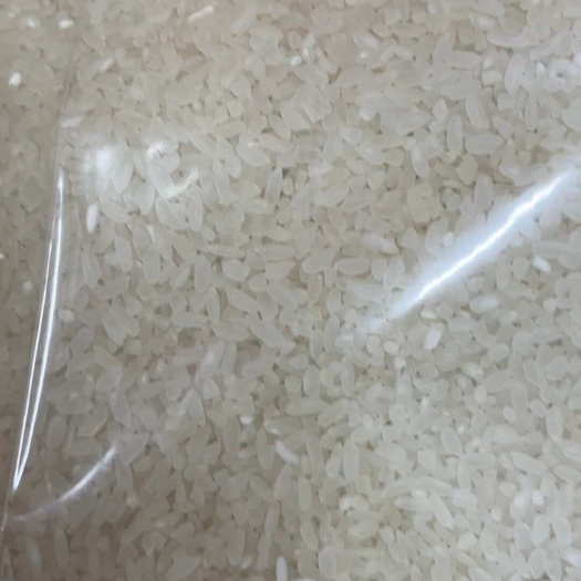 肇东市东北碱地大米PH值7.3