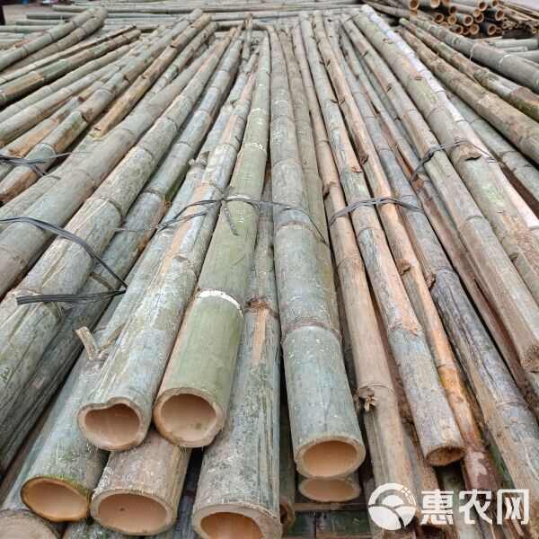 毛竹 新鲜老竹子8到15米建筑工程搭棚，可定制规格