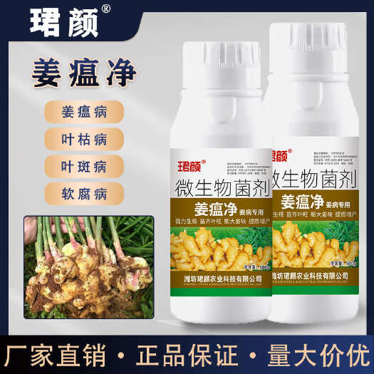 寿光市姜瘟净大姜专用生根促长姜块壮大预防姜瘟土传病害生姜专用姜瘟净