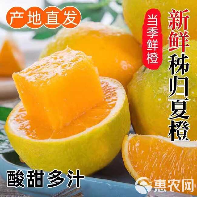 湖北秭归夏橙橙子新水果当季榨汁皮薄酸甜现摘现发整箱