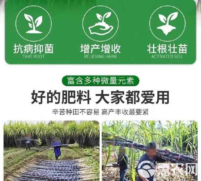 甘蔗专用叶面肥拉长拉直增粗增甜增糖生根壮苗抗倒伏实心膨大增产